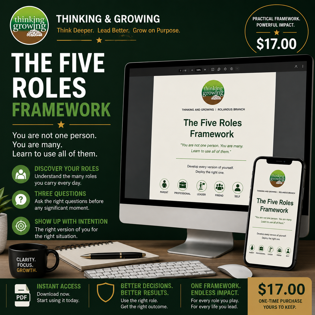 The Five Roles Framework